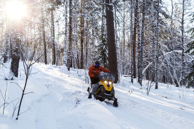 Athlete on a snowmobile in the winter forest.