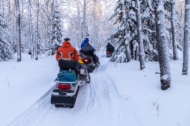 Athletes on a snowmobile in the winter forest.