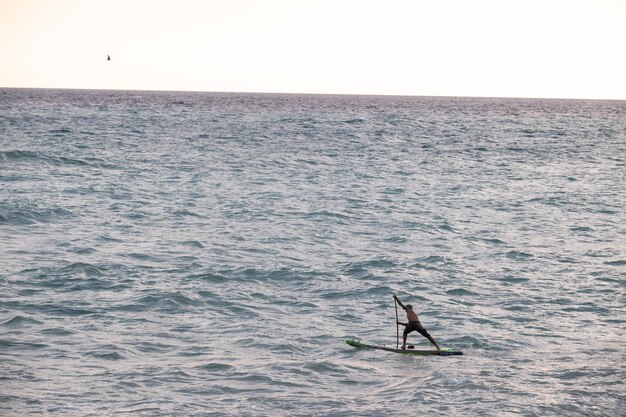 Фото Спортивный серфер плывет с веслом на доске в море stand up paddleboarding