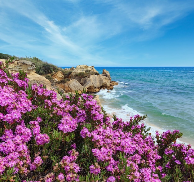 Фото Вид на цветущее побережье атлантики алгарве португалия