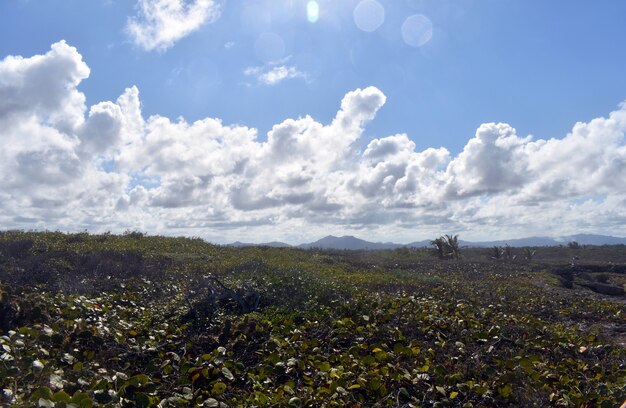 Atlantic Coast. Dominican Republic