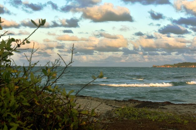 Atlantic Coast at sunset