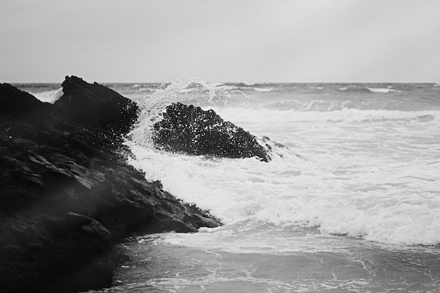 大西洋海岸風景美術