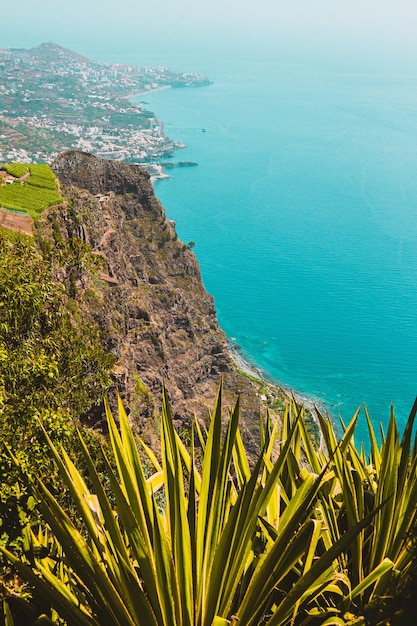 Atlantische oceaan kustlijn kliffen groene bossen madeira eiland portugal uitzicht van bovenaf