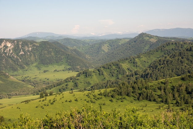 Atmosferisch berg groen landschap bij dageraadzonlicht.