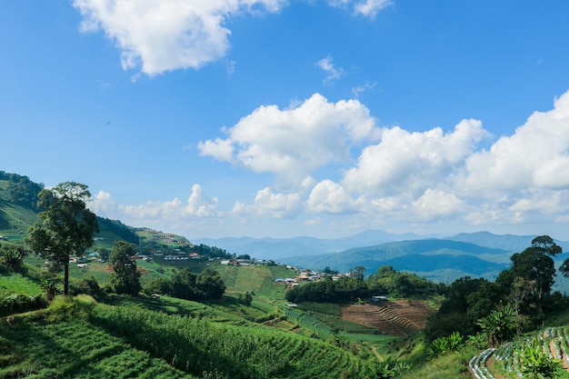 Photo the atmosphere of the mountain which is rich with green trees and grass looks comfortable above the