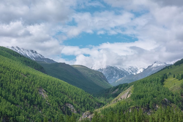 Atmospheric green landscape with sunlit forest hills and high snow mountains in low clouds Beautiful mountain valley in sunlight and large snow mountain range under cloudy sky in changeable weather