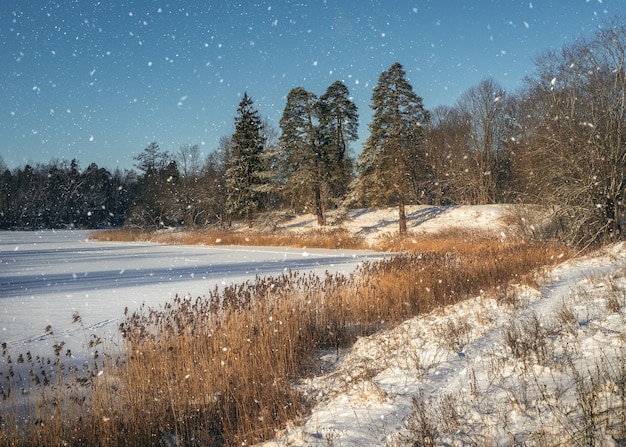 Atmospheric winter landscape. Bright winter Sunny landscape. Frosty day on the lake.