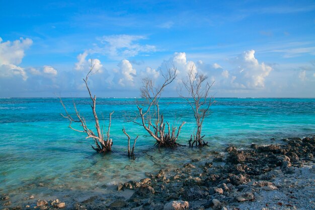 atoll in maldives beach