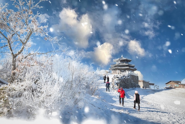 Atop the snowcapped Deogyusan mountains on a clear day and the snow blown by the wind in winterSouth Korea