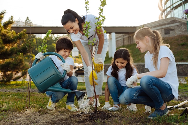 Attentive boy pouring new plant