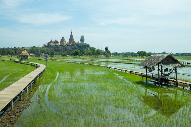 Attraction mountain and field beautiful very famous for tourist