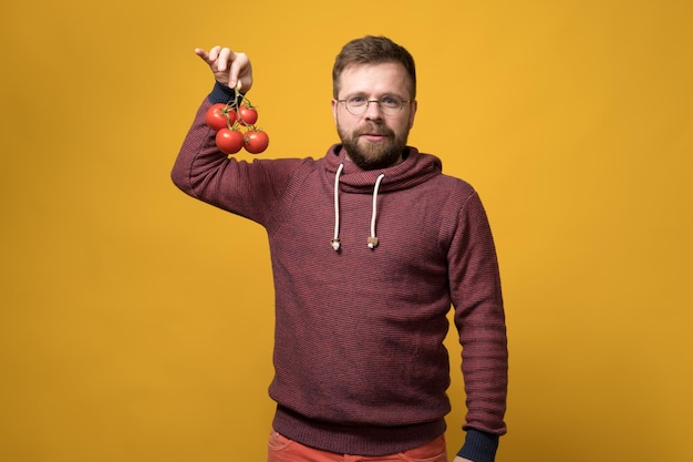 Attractive bearded man in glasses holds a branch of red ripe tomatoes in hand and looks calmly