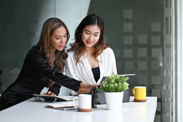 Attractive businesswomen discussing project together in bright office