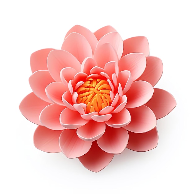 attractive coral lotus elegance isolated on white background