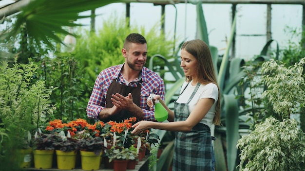 Attractive couple work in greenhouse Woman gardener in apron watering plants with garden sprayer while her husband talking to him