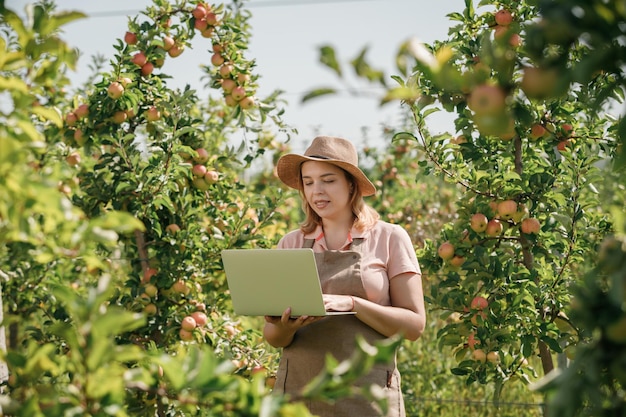 Attractive female agronomist or farmer with laptop standing in apple orchard and checking fruit makes notes Agriculture and gardening concept Healthy nutrition