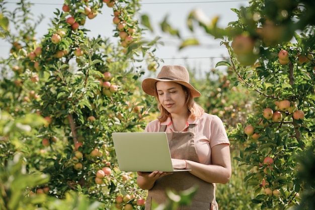 Attractive female agronomist or farmer with laptop standing in apple orchard and checking fruit makes notes Agriculture and gardening concept Healthy nutrition