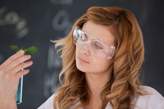 Attractive female scientist conducting an experiment