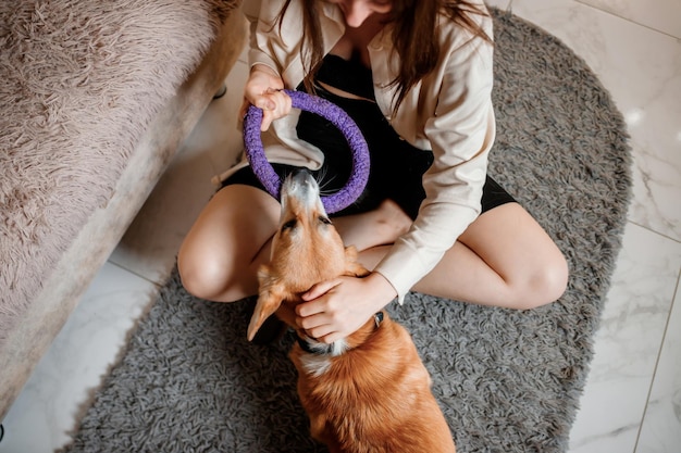 Attractive girl hug and play with corgi dog at home Welsh Corgi Pembroke with his owner woman on the floor at living room