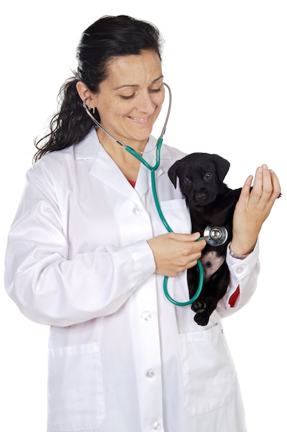 Attractive lady veterinarian over a white background