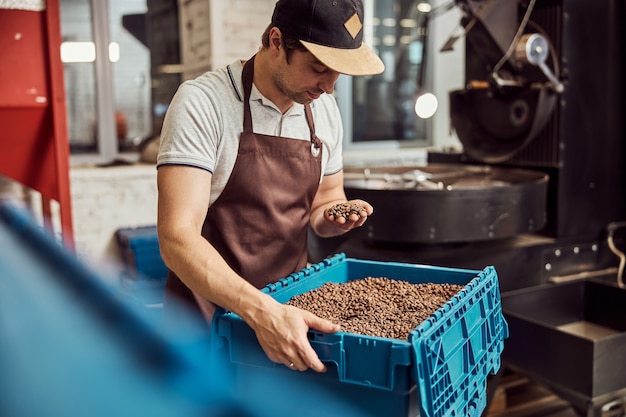 プラスチック製の貯蔵箱のそばに立っている間彼の手でコーヒー豆を見ているエプロンの魅力的な男性労働者