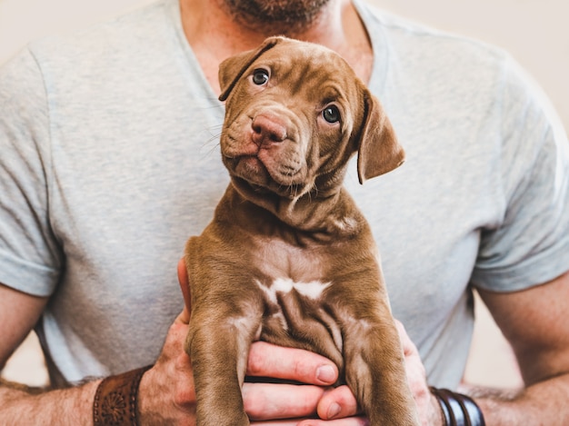 Attractive man hugging a young