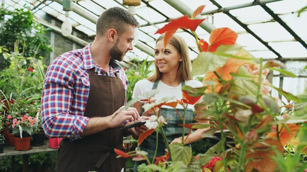 Attractive man and woman in apron count flowers using tablet computer during working in greenhouse