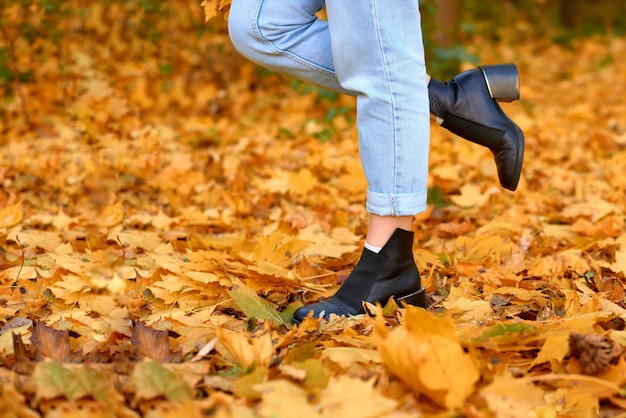 Attractive slender female legs in jeans and boots stand in the fallen leaves. copy space. shallow depth of field