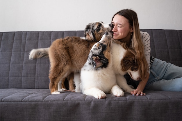 ソファの上で3つのメルル色のオーストラリアンシェパードの子犬の犬とキスする魅力的な女性