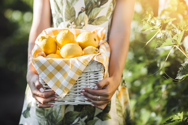 Donna attraente con i limoni.