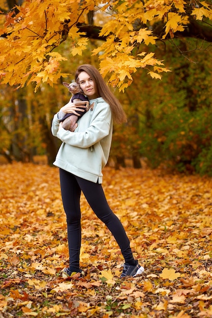 写真 秋の公園でポーズをとっている彼女のペットの犬のおもちゃのテリアと魅力的なウォーワン
