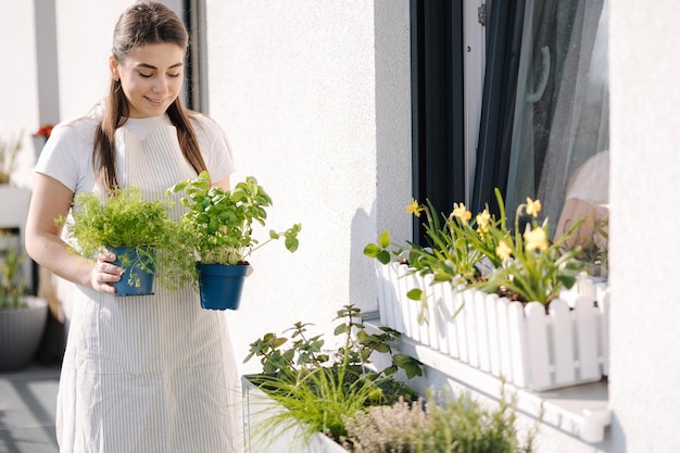 Attractive young female creating garden at balcony Woman hold pot with dill and basil Starting for landing