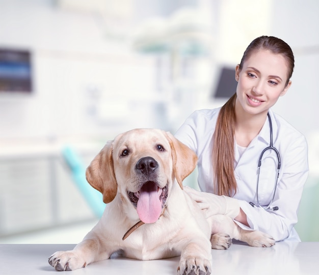 Attraente giovane dottoressa con un simpatico paziente canino