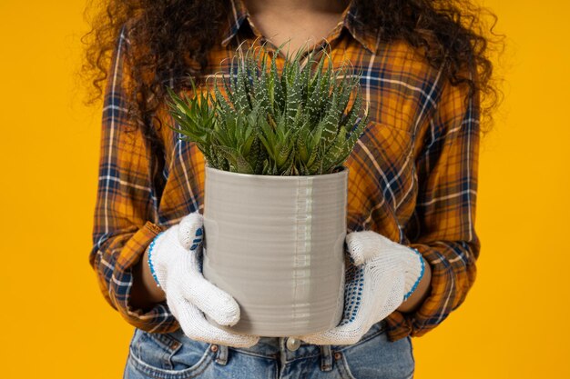 Attractive young girl with a flower pot in her hands against a yellow background