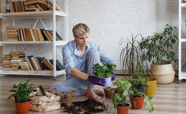 国内の植物を世話する魅力的な若い男が花を移植し、植木鉢に地球を注ぎます