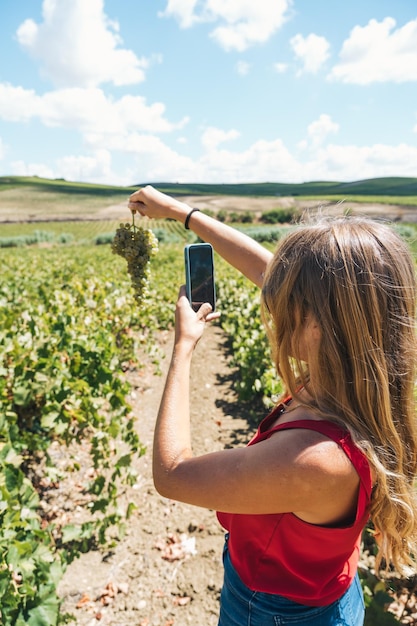 ブドウ畑でスマートフォンで写真を撮る魅力的な若い女性