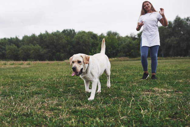 Attractive young woman with dog outdoors. woman on a green grass with labrador retriever