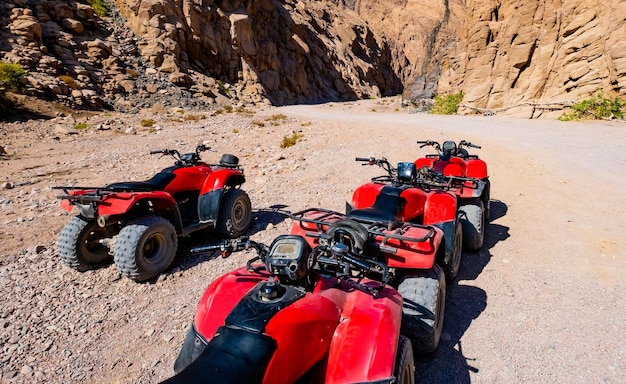 ATV-safari's op rode quads