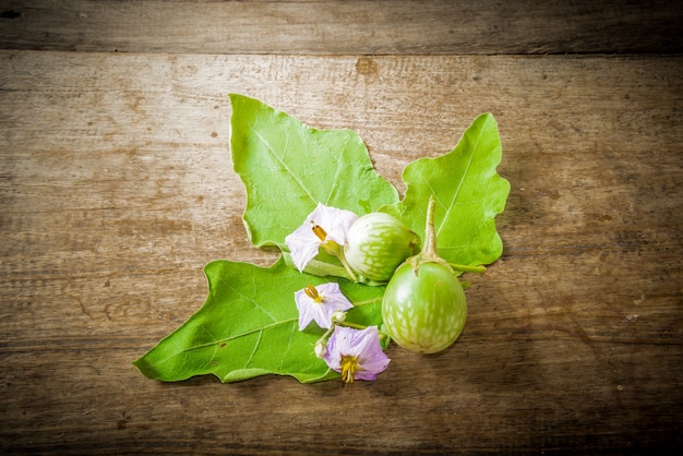 Aubergine en bladeren en bloem