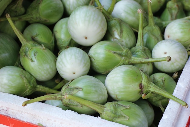 Aubergine op de markt