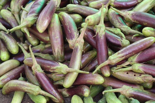 aubergine op straat eten