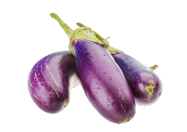 aubergine