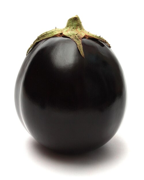 aubergine