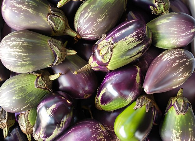 aubergines bovenaanzicht