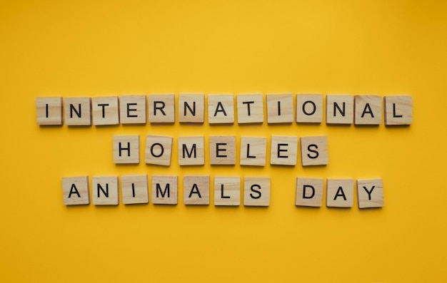 August 19 international homeless animals day minimalistic banner with the inscription in wooden letters