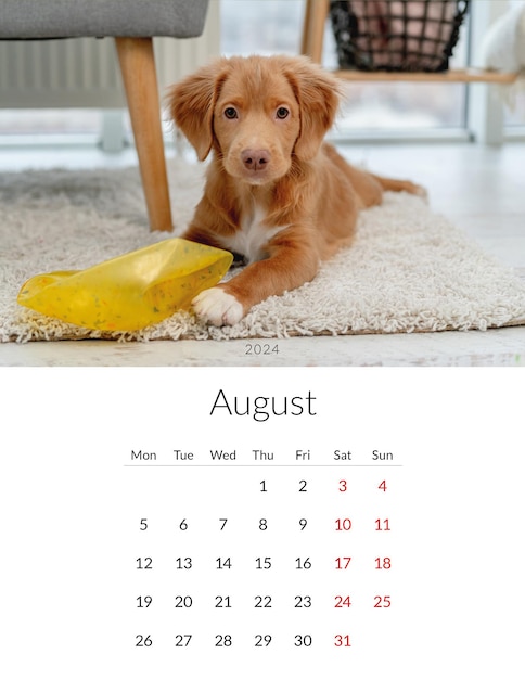 August 2024 year Photo calendar with cute dogs Annual daily planner template with doggy pets The week starts on Monday