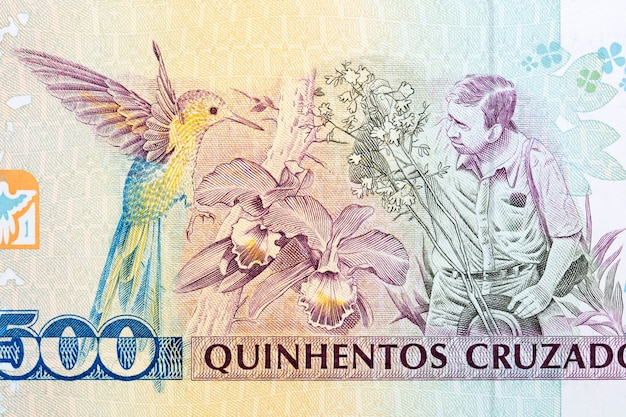 アウグスト・ルスキは古いブラジルのお金からの肖像画