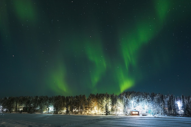 Foto aurora boreale contro il cielo stellato