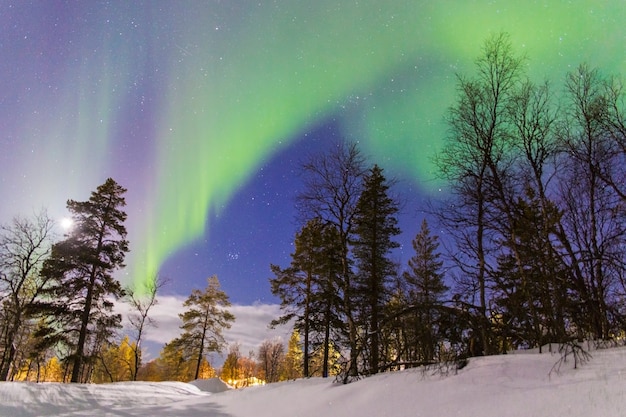 aurora borealis over a forest with artificial lighting